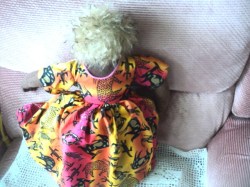 aa cloth doll_05